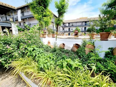 Jardín al aire libre en Apartamento con Patio Sevillano