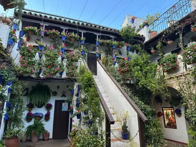 Jardín al aire libre en Apartamento Alcázar San Basilio