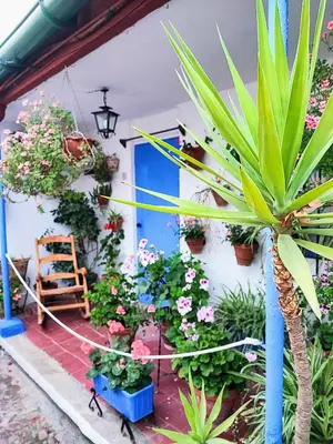 Jardín al aire libre en Apartamento Alcázar San Basilio