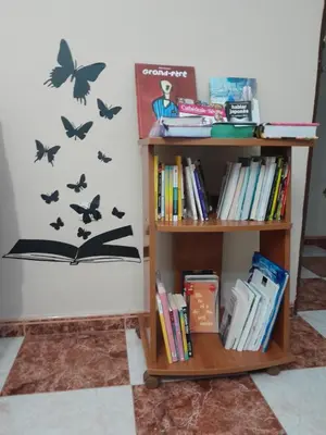 Biblioteca en el apartamento