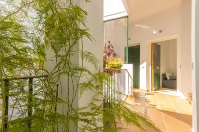 Jardín al aire libre en Apartamento Anais Centro Sevilla