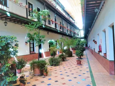 Jardín al aire libre en Lumbreras V Apartamento Alameda Sevilla