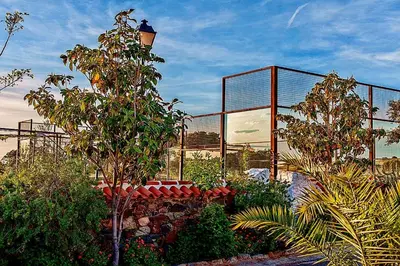 Jardín al aire libre en Complejo turístico El Soldado.