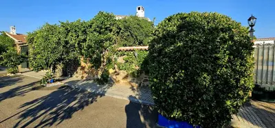 Jardín al aire libre en Complejo turístico El Soldado.