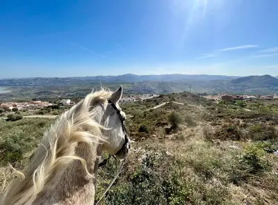 Paisaje cerca de este apartamento