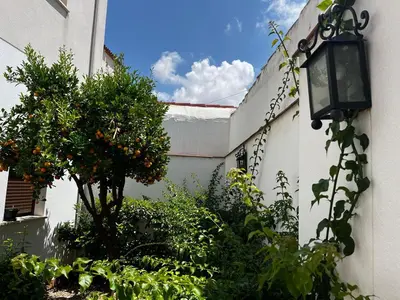 Plano de Acogedor apartamento junto a plaza de San Agustin