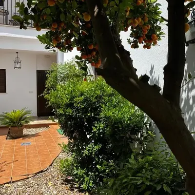 Acogedor apartamento junto a plaza de San Agustin