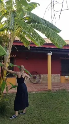 Clientes alojados en La Buganvilla, descanso entre olivares