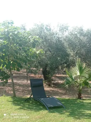 Jardín al aire libre en La Buganvilla, descanso entre olivares