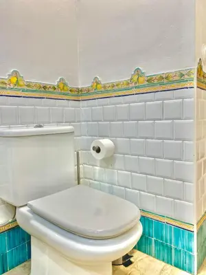 Un baño de RentalSevilla Tintes
