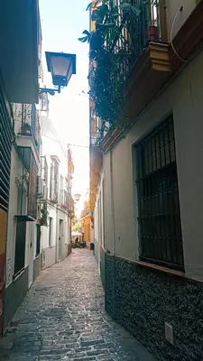 El barrio de los alrededores o un barrio cerca de este apartamento