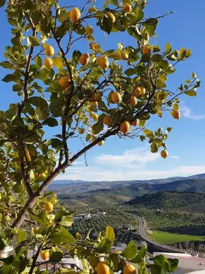 Paisaje cerca de esta casa o chalet