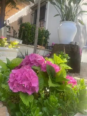 Jardín al aire libre en Casa Los Encinares
