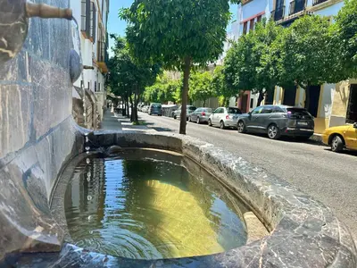 El barrio de los alrededores o un barrio cerca de este apartamento