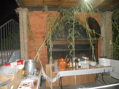 Bebidas en Camping Fuente de Piedra