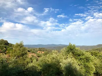 Paisaje cerca de esta casa o chalet