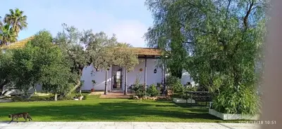 Jardín al aire libre en Charming House in La Campana with Mountain View
