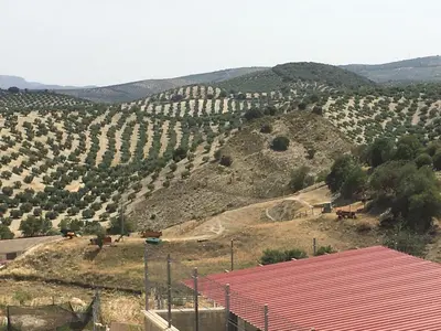 Paisaje cerca de este apartamento