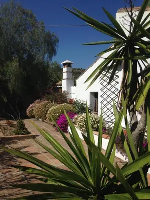 Jardín al aire libre en Lagar El Buho
