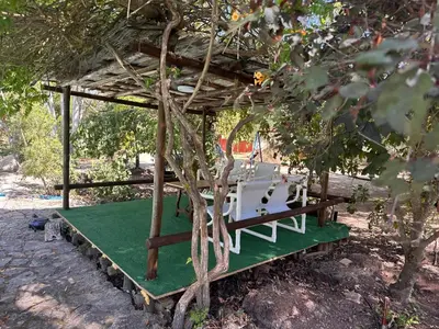 Jardín al aire libre en EcoCabaña El Refugio