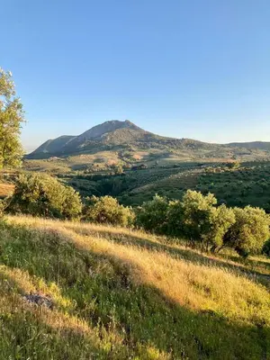 Paisaje cerca de este apartamento