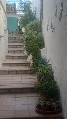 Plano de Ascent At Alora