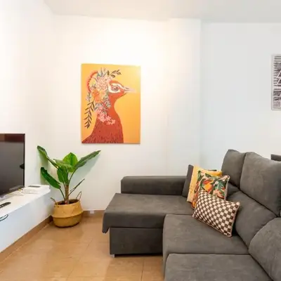 Céntrico y acogedor apartamento