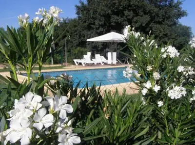 Piscina en o cerca de Casa Rural Alameda en Posadas Córdoba