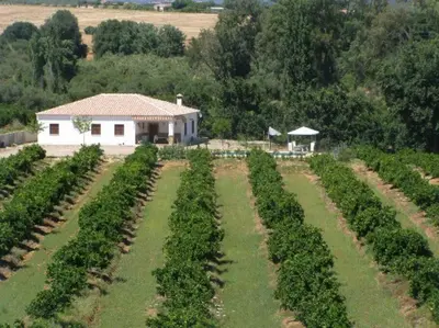 Jardín al aire libre en Casa Rural Alameda en Posadas Córdoba