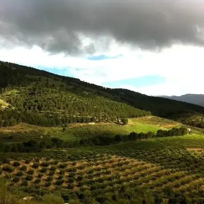 Casa Dehesa San Cristóbal
