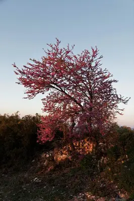Paisaje cerca de este lodge