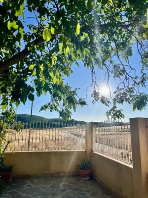 Un balcón o terraza de Casa Celia