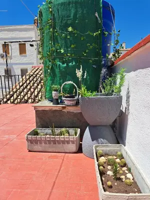Jardín al aire libre en Casa Paloma