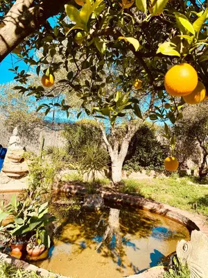 Jardín al aire libre en La Casita del Cactus - Casa de campo con piscina