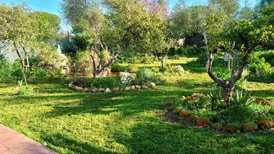 Jardín al aire libre en La Casita del Cactus - Casa de campo con piscina