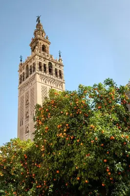 Plano de Apartamento Turístico Ciudad Jardín - Nervión.