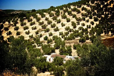 Paisaje cerca de este bed & breakfast