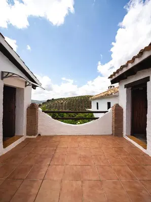 Edificio en el que se encuentra la casa o chalet