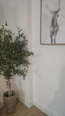 Plano de Apartamento Menina Santa Ana