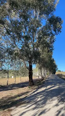 Paisaje cerca de este apartamento