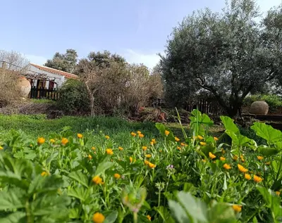 Jardín al aire libre en Huerta Del Pasil (Casa Entera)