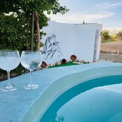 Villa 365