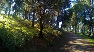 Paisaje cerca de esta casa o chalet