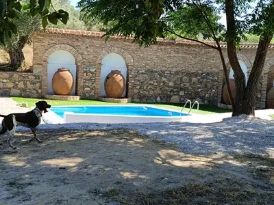 Piscina en o cerca de Cortijo San Rafael
