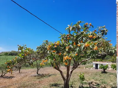 Jardín al aire libre en Romarin