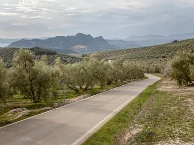 Paisaje cerca de esta casa o chalet
