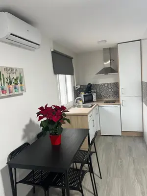 Una cocina o zona de cocina en Apartamento Anita