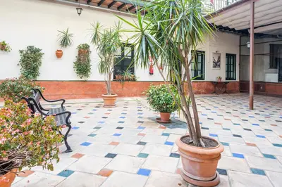 Jardín al aire libre en Alohamundi Lumbreras IV