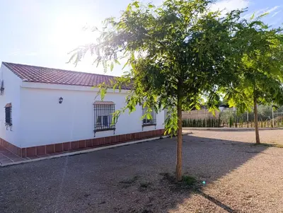 Edificio en el que se encuentra la casa o chalet