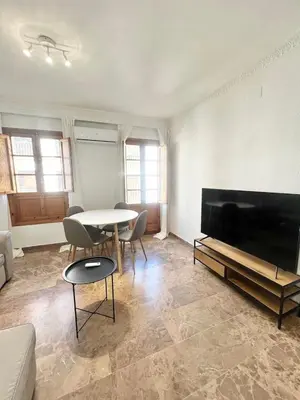 Una televisión o centro de entretenimiento en Apartamento Boabdil